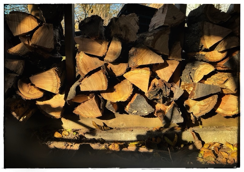 Stacked firewood 