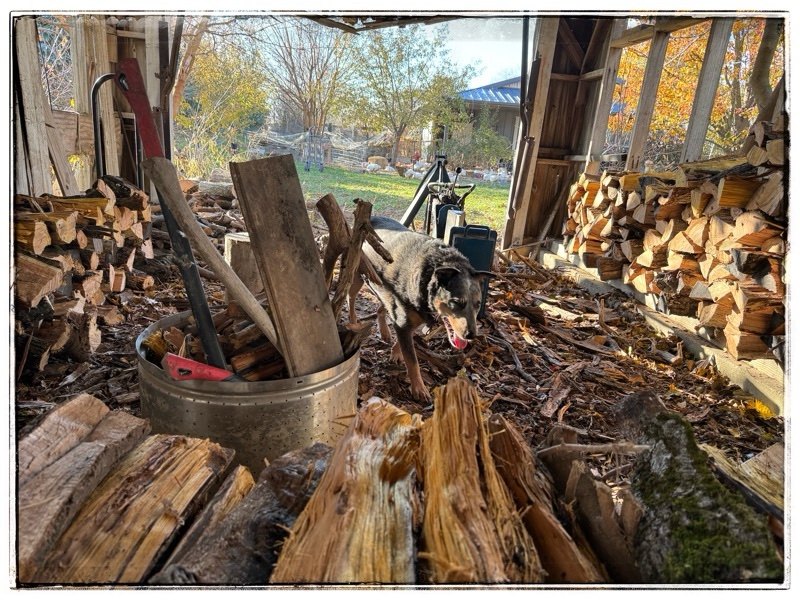 Wood shed, firewood 