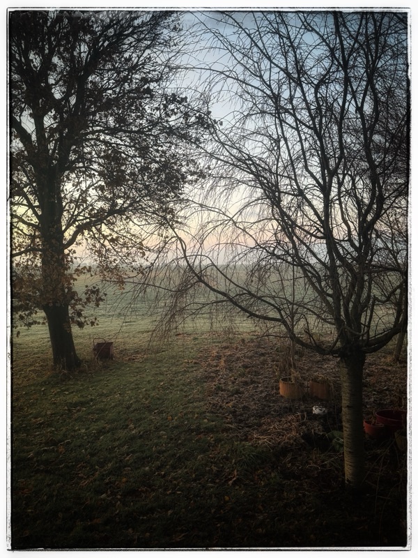 Early morning through the garden and out to the fields after a frost 