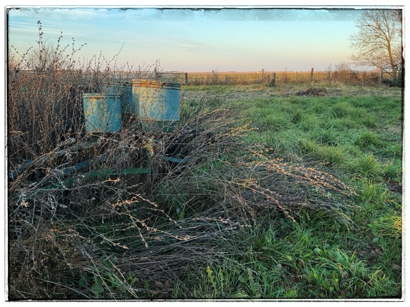 Old farm machinery in long grass 