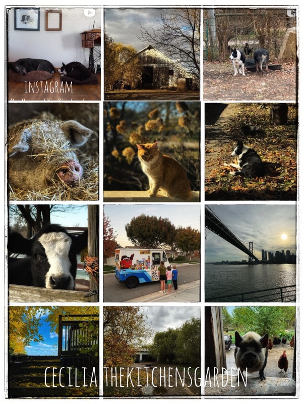 Instagram screen shot 