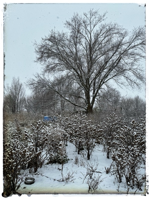Snow on the ground and an abandoned field