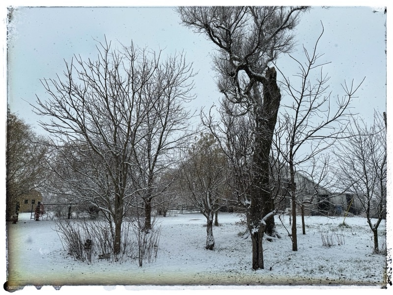 Snow on the ground around an old barn in the Midwest
