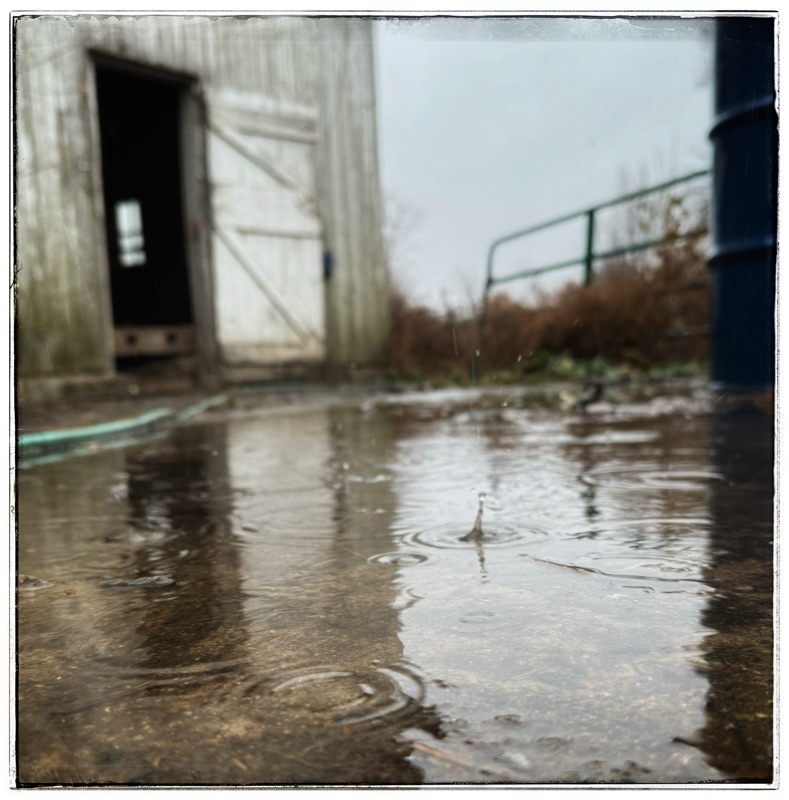 Raindrops rain puddles