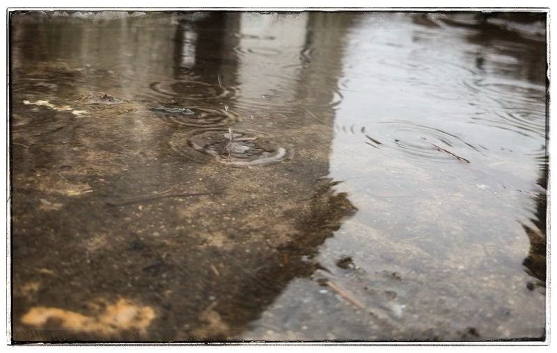 Rain rain into puddle