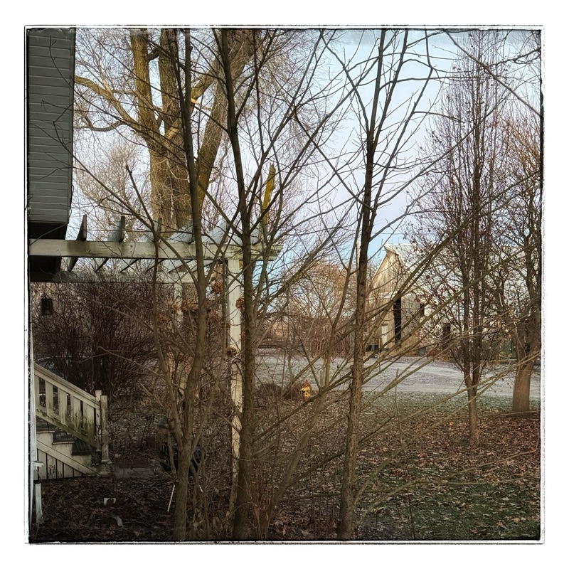 Old wooden Midwest barn through trees