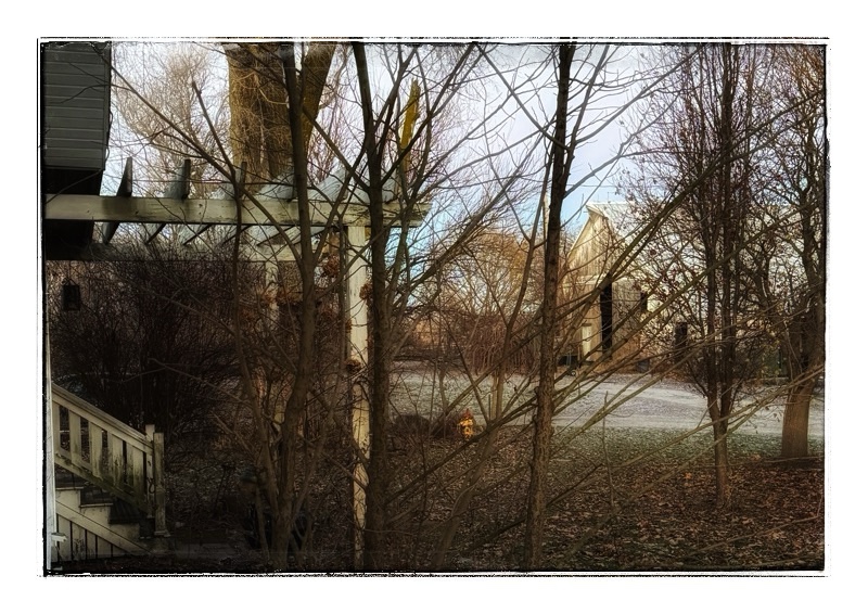 Pig Sitting on a Dog&nbsp;Bed