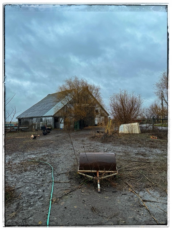 Muddy around the old barn, winter 