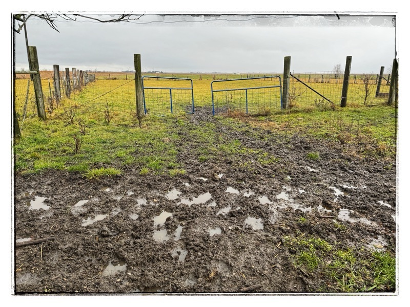 Mud on farm