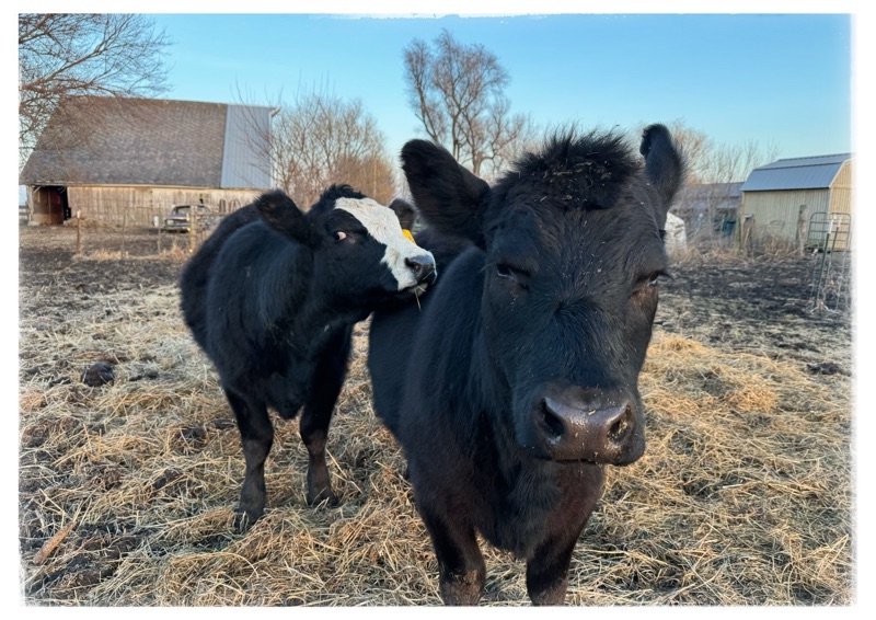 Stay true to your mission