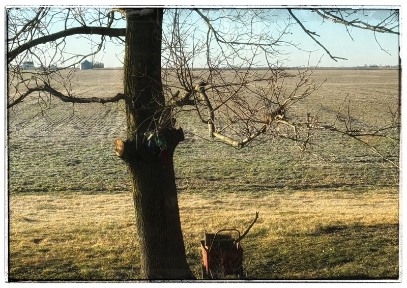 Something this way weary&nbsp;comes