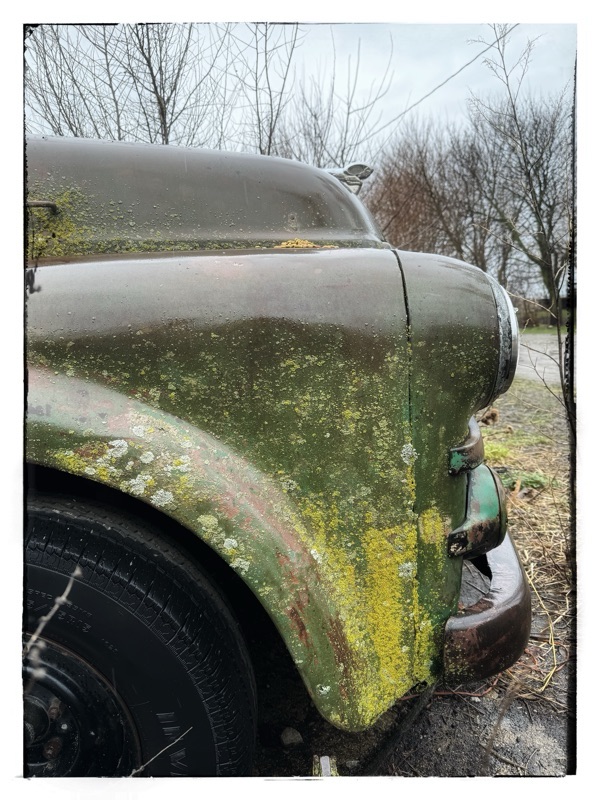 Moss on old car 