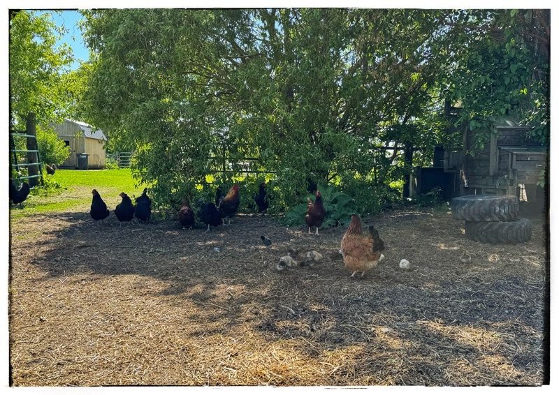 Ride along on the Big Tractor
