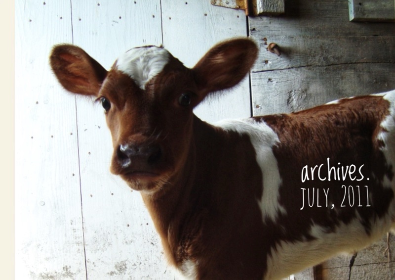 archives day – daisy, bees, and&nbsp;barns