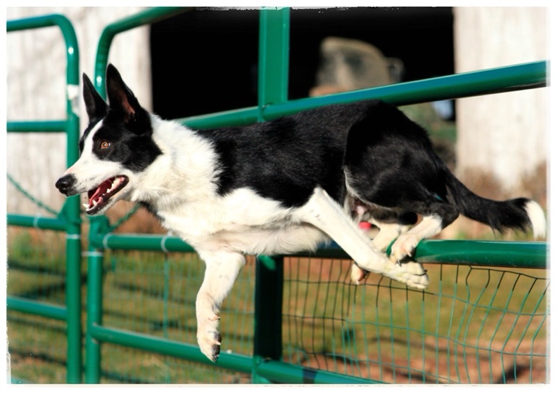 archives, october 05,&nbsp;2011