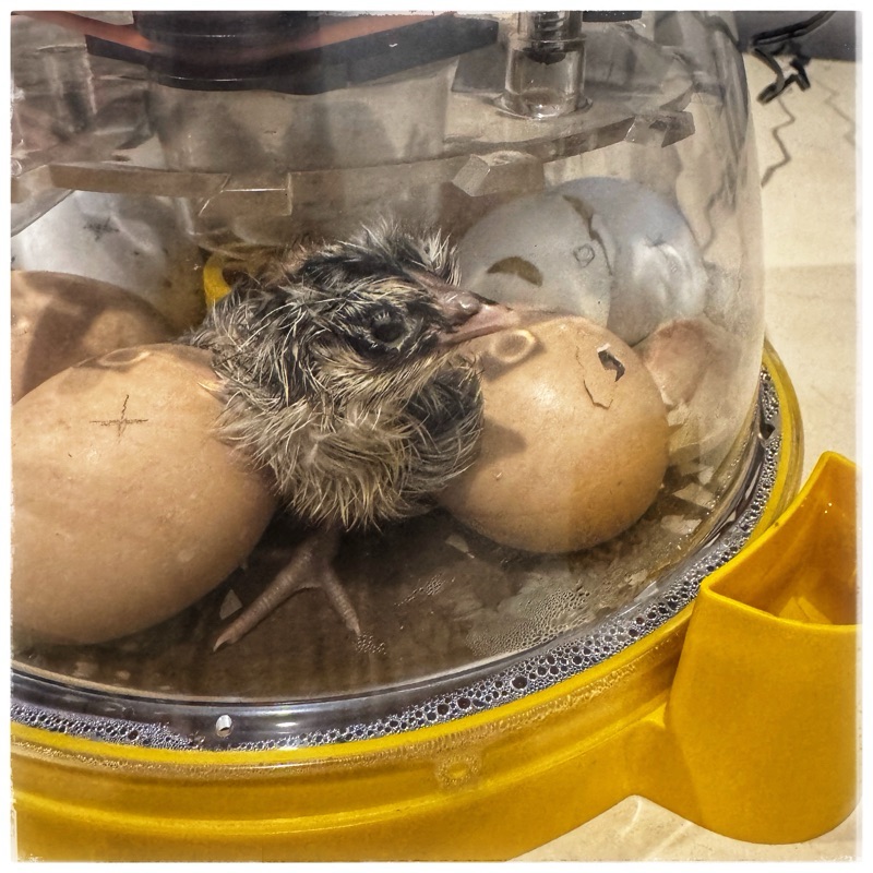 A little home, a little here, a little&nbsp;there.